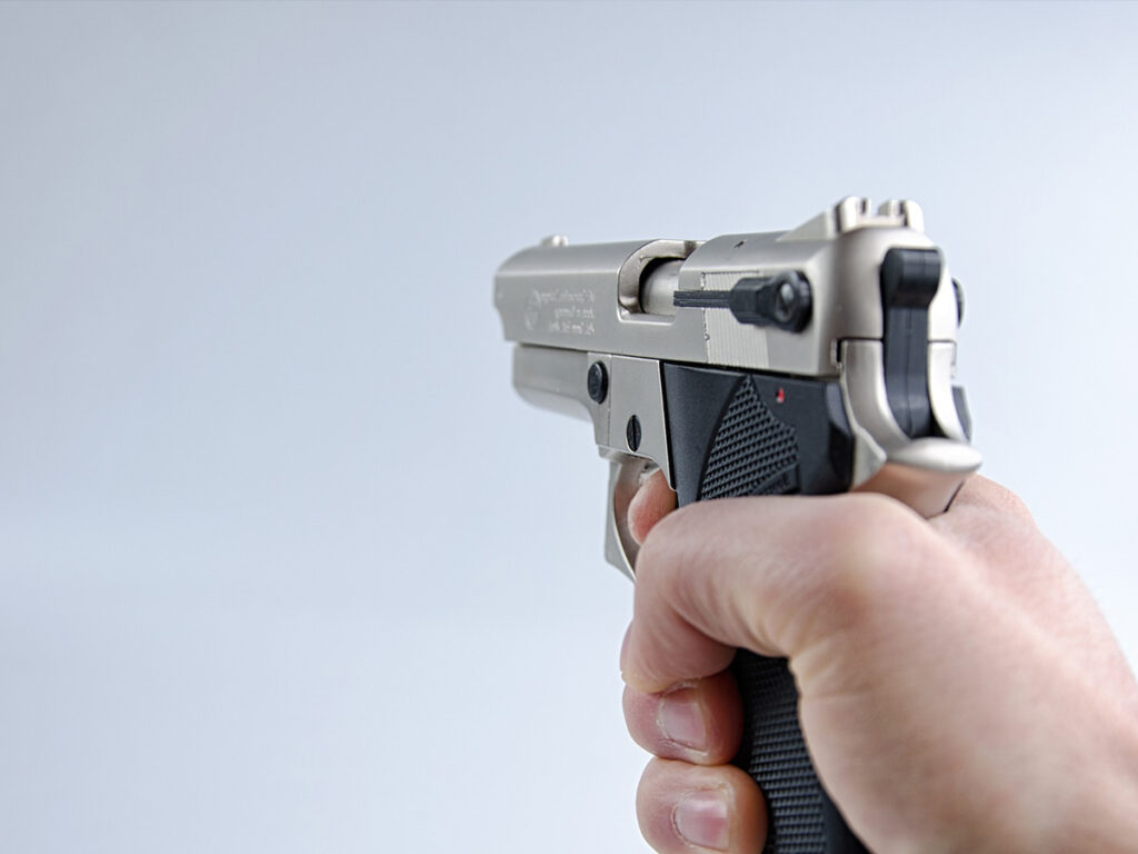 taste utilizarea catarii