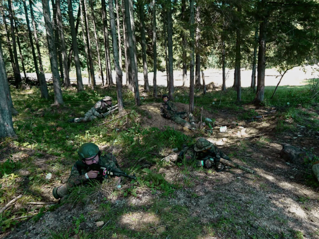 Operatiuni defensive taste