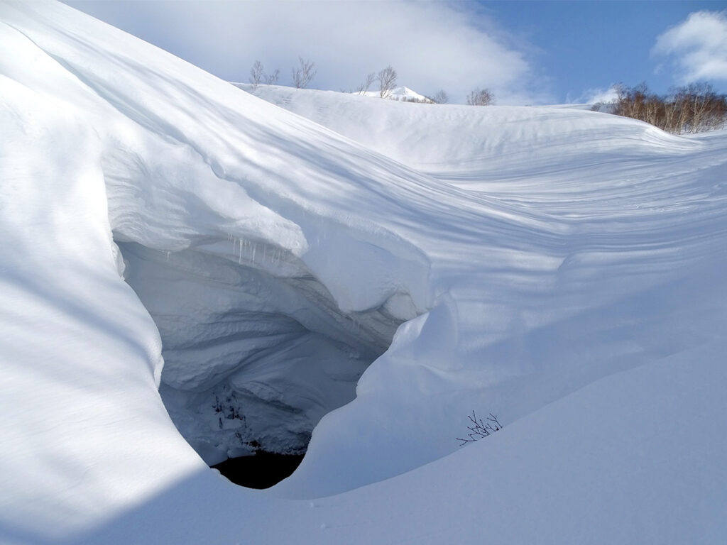 taste adaposturi de iarna